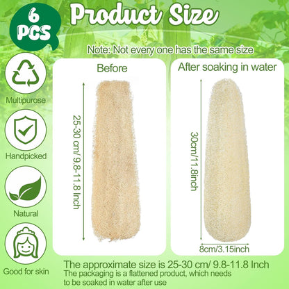 11.8 Inches Natural Loofah Sponges Pack of 6, for Kitchen Dishes Body Scrubber