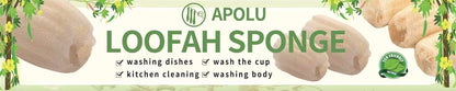 Natural Loofah Sponge, Loofah Exfoliating Body Sponge Scrubber for Skin Care, Kitchen Sponge for Cleaning Dishes & Pans Skin Friendly - Pack of 2