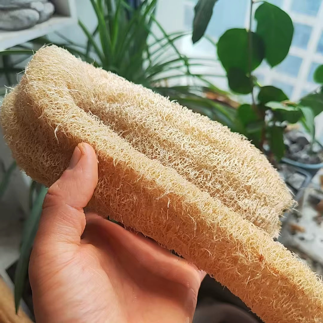 35-40Cm Natural Loofah Sponge - 100% Plant Fiber Fluffy after Washing Eco-Friendly for Bath Kitchen Cleaning Reusable Scrubber