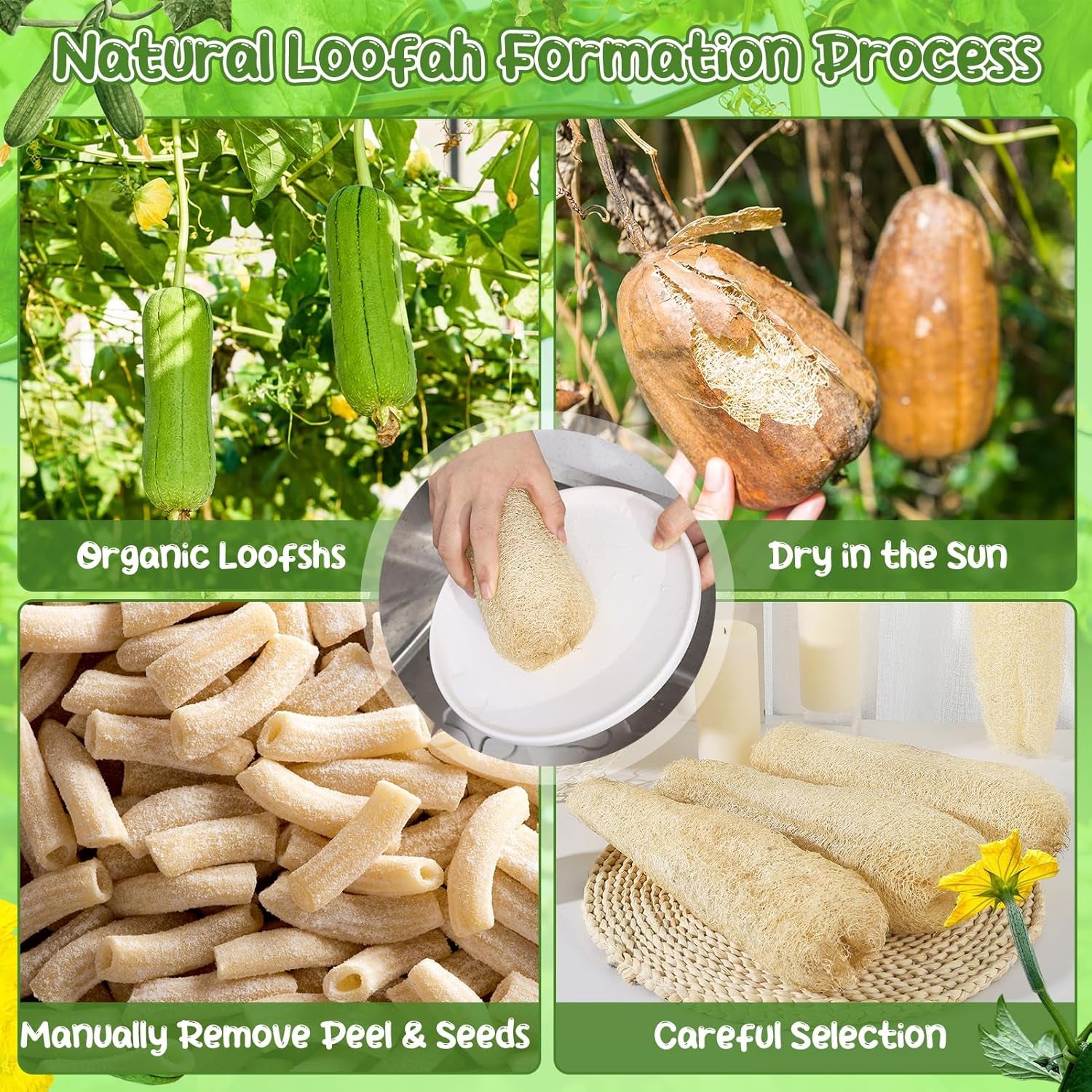 11.8 Inches Natural Loofah Sponges Pack of 6, for Kitchen Dishes Body Scrubber