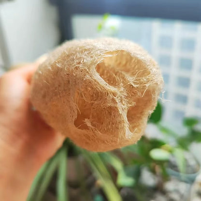 35-40Cm Natural Loofah Sponge - 100% Plant Fiber Fluffy after Washing Eco-Friendly for Bath Kitchen Cleaning Reusable Scrubber